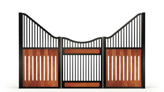 Electra-front, R_gaps,  2d View