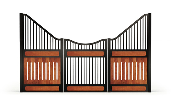 Electra-front, R_gaps,  2d View